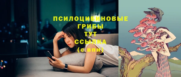 прущая мука Арсеньев