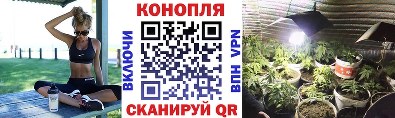 Бошки Шишки ГИДРОПОН  площадка клад  Рыбное 